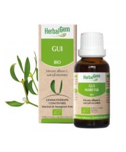 Gui (Viscum album) j.p. BIO, 15 ml